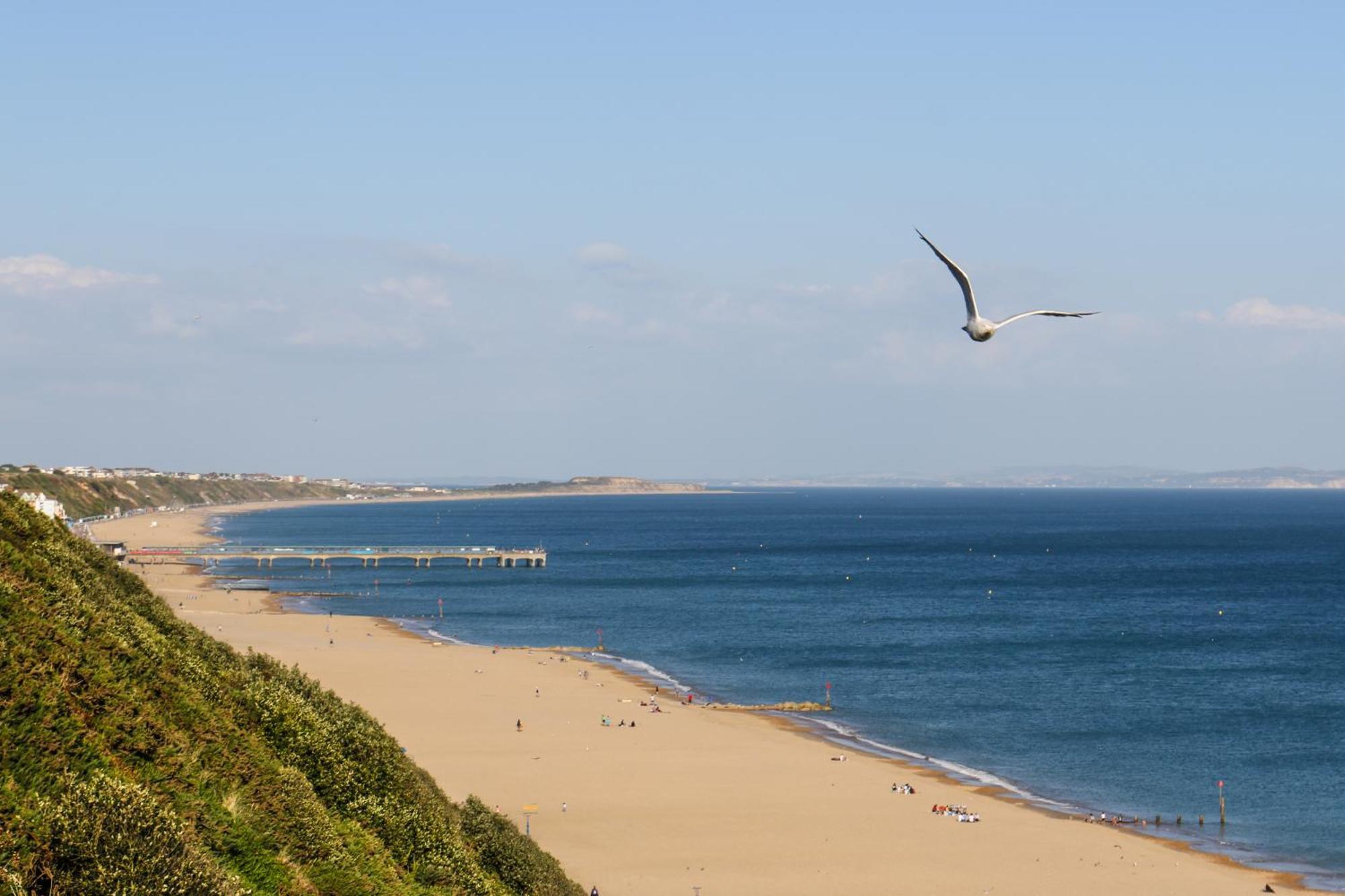 Modern Town Centre Flat - Free Shared Parking, King Size Bed, 5 Minutes Walk To Beach Bournemouth Exteriör bild